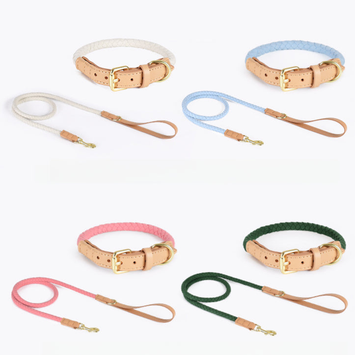 4 Colors Leather-Suede Collar & Leash