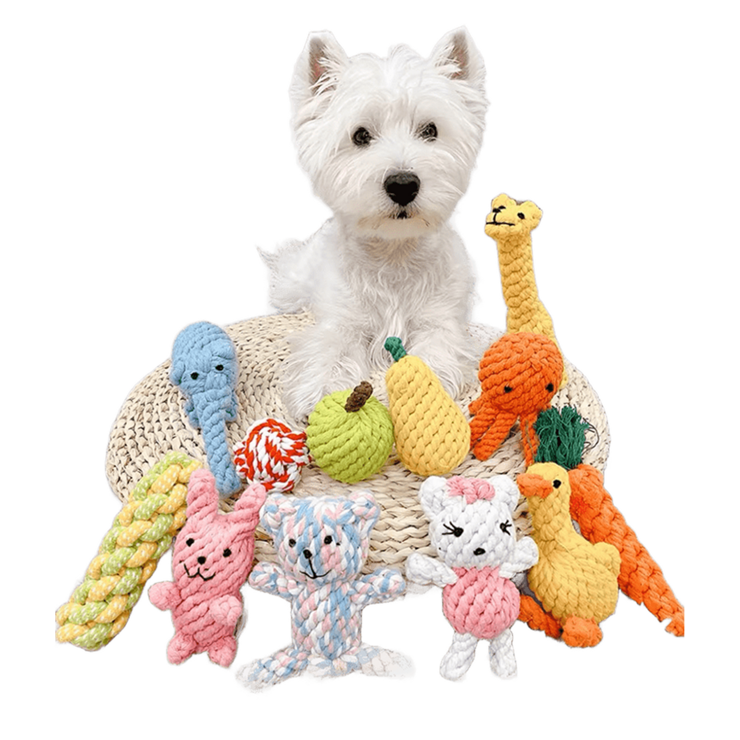 Pet Toys
