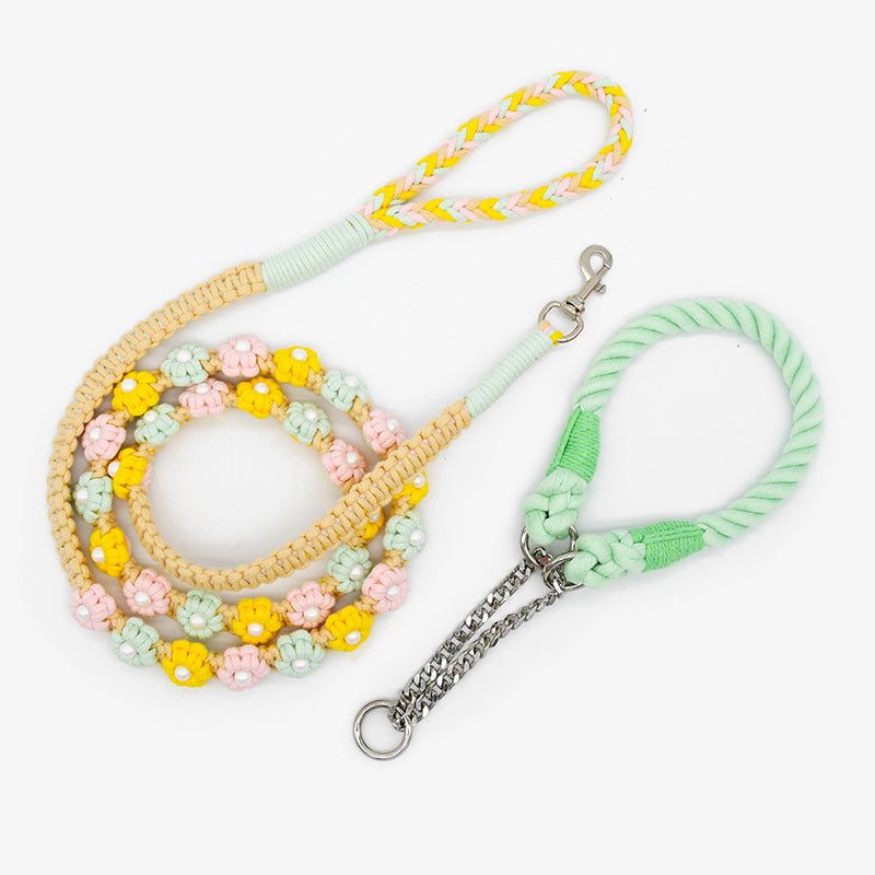 Walk Set (Free Shipping & Discount)