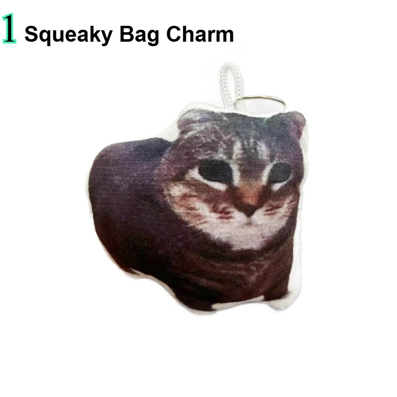 OIIAI Cat Essentials Gift Pack