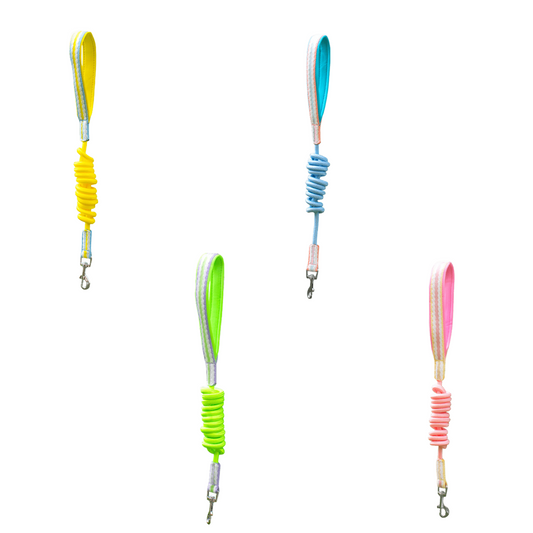 4 Colors Heart Leash