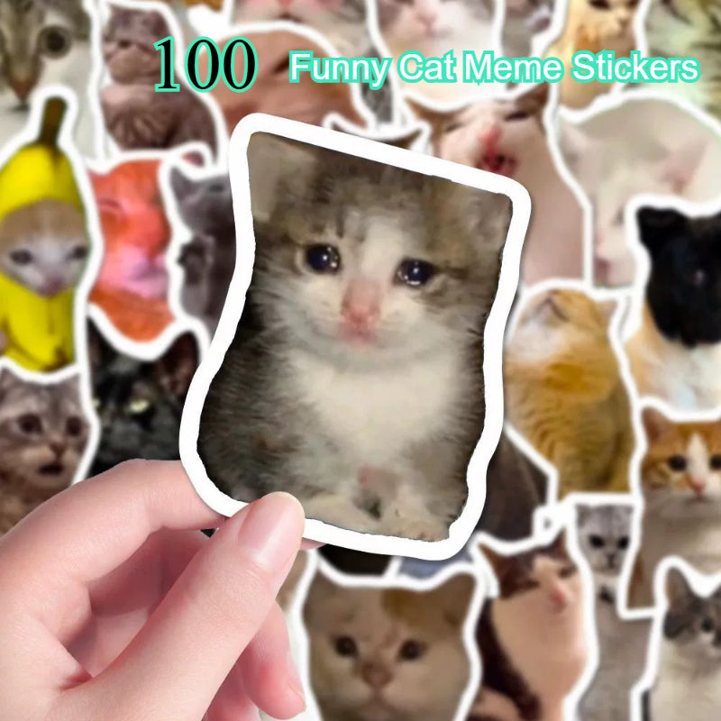 OIIAI Cat Essentials Gift Pack