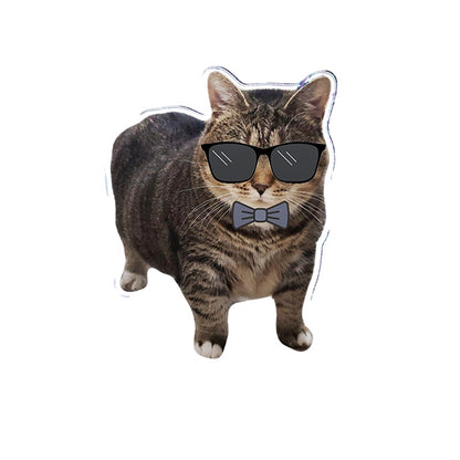 OIIAI Cat Meme Acrylic Desk Toy