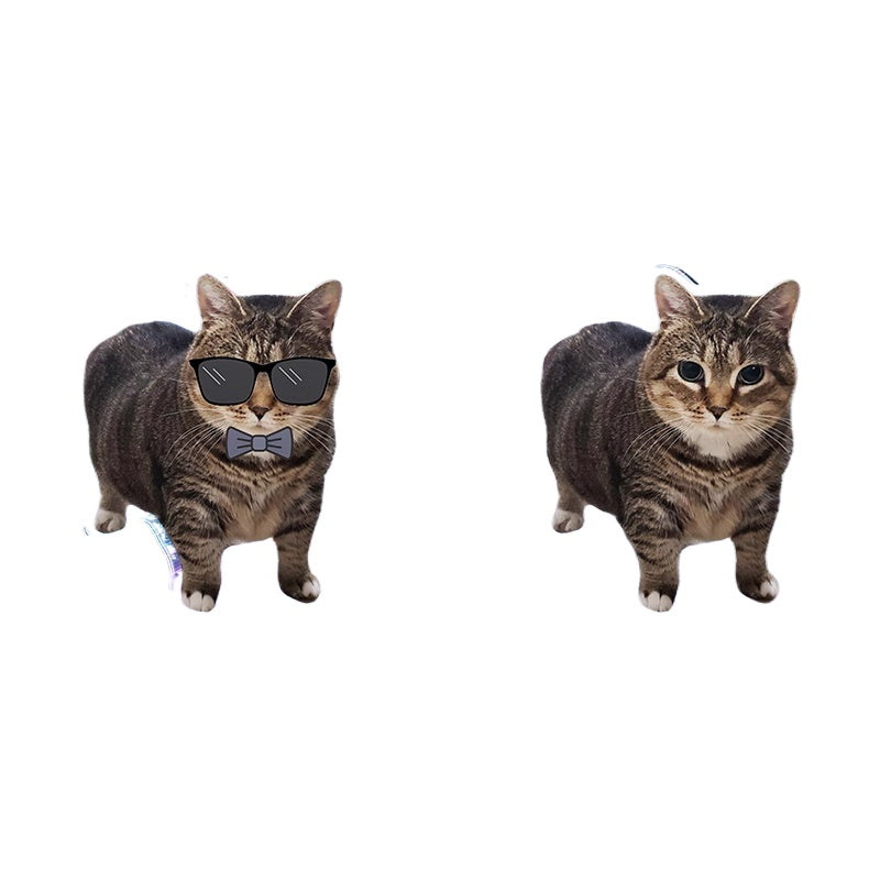 OIIAI Cat Meme Acrylic Desk Toy