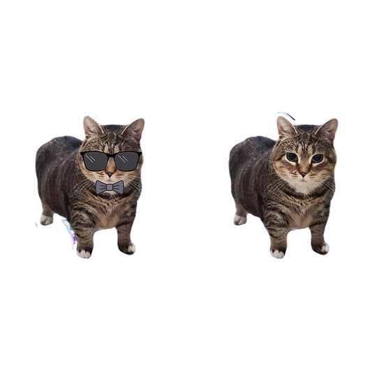 OIIAI Cat Meme Acrylic Desk Toy