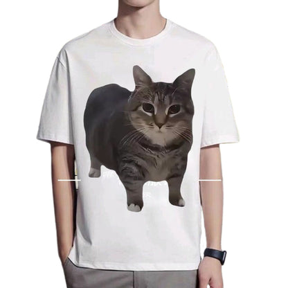 OIIAI Cat Essentials Gift Pack