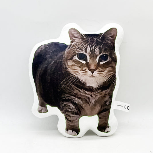 IOOAI Cat Quirky Cushion Abstract Pillow