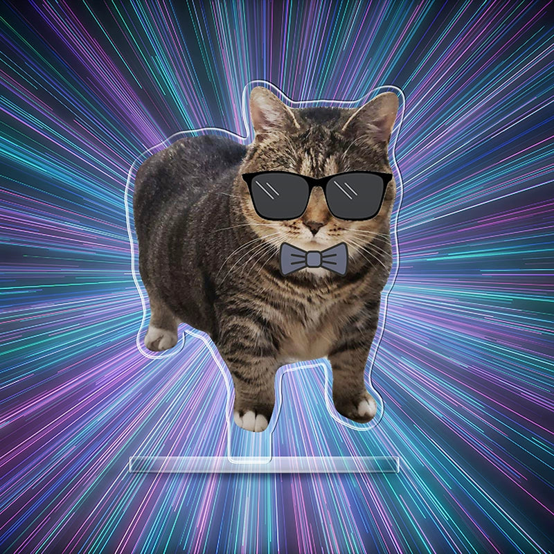 OIIAI Cat Meme Acrylic Desk Toy