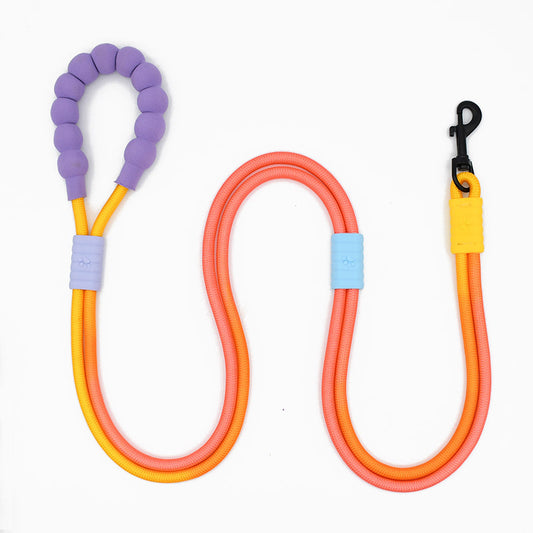 2 Colors 3-Way Hands-Free Leash