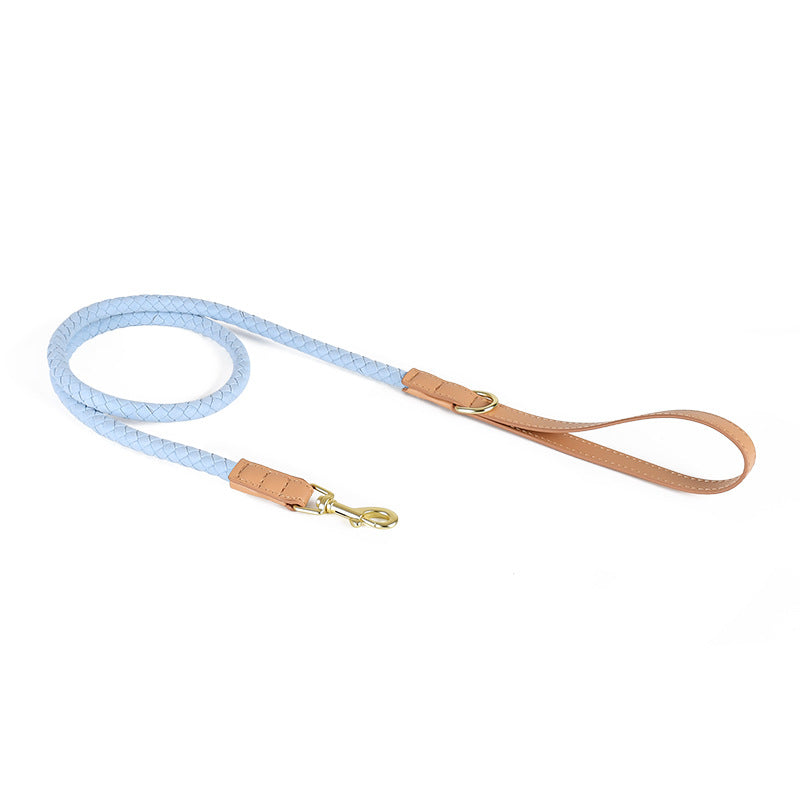 4 Colors Leather-Suede Leash