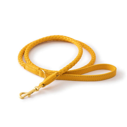 4 Colors Woven Leather Leash