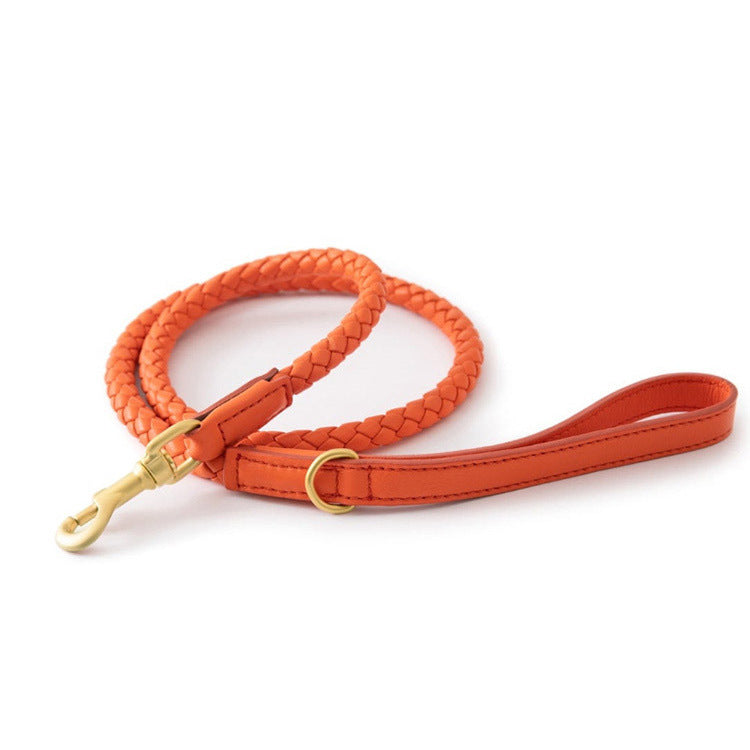 4 Colors Woven Leather Leash