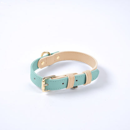 4 Colors Genuine Leather Collar