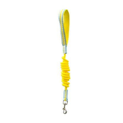 4 Colors Heart Leash