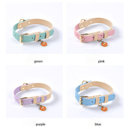 4 Colors Genuine Leather Collar