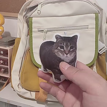 OIIAI Cat Essentials Gift Pack
