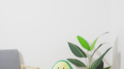 3 Styles of Woven Plush Squeaky Toys