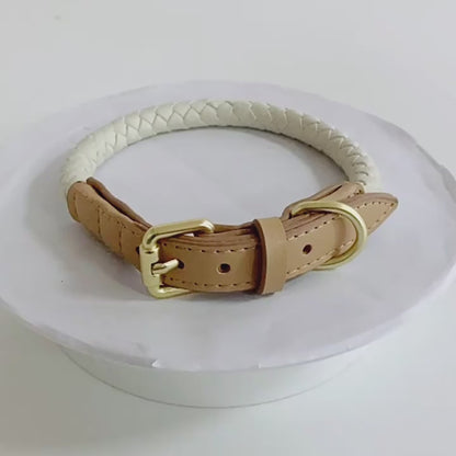 4 Colors Leather-Suede Collar & Leash